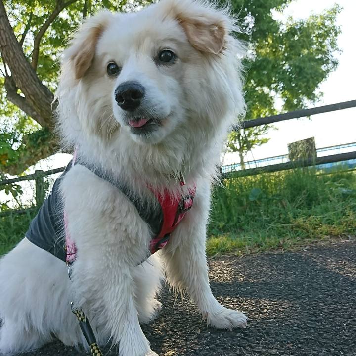 D15c0c85 d301 4a33 a044 7246290d6203