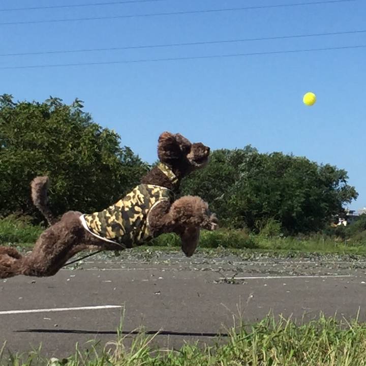 D15c8f25 057e 4abf 8a5c 1207f6992998