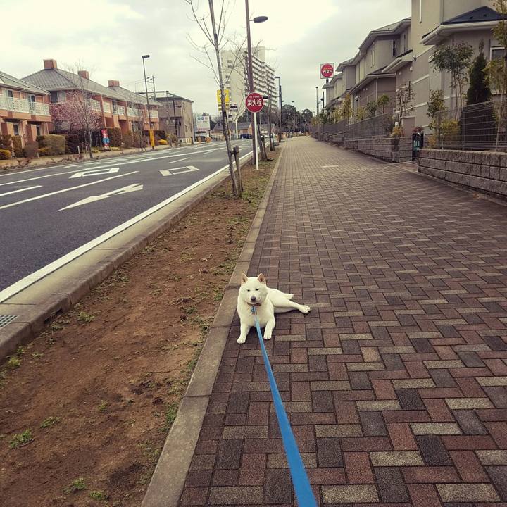 D15caeb4 b3a8 4610 9280 862b36bea976