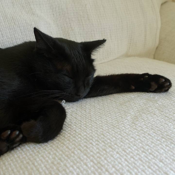 D15d0aea a853 4277 a31c 74c3718999ba