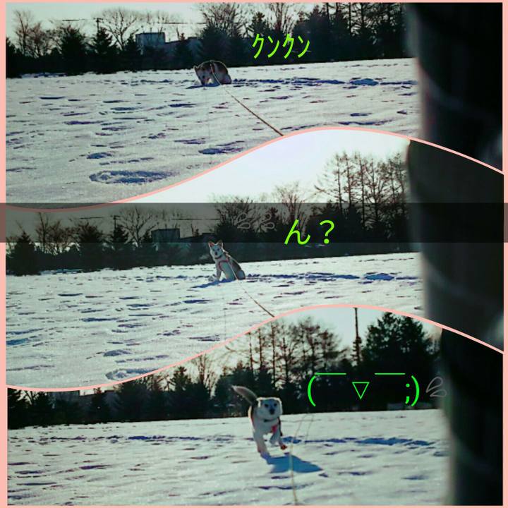 D15d10b6 8fc3 40c4 9a87 2a19c5d92341