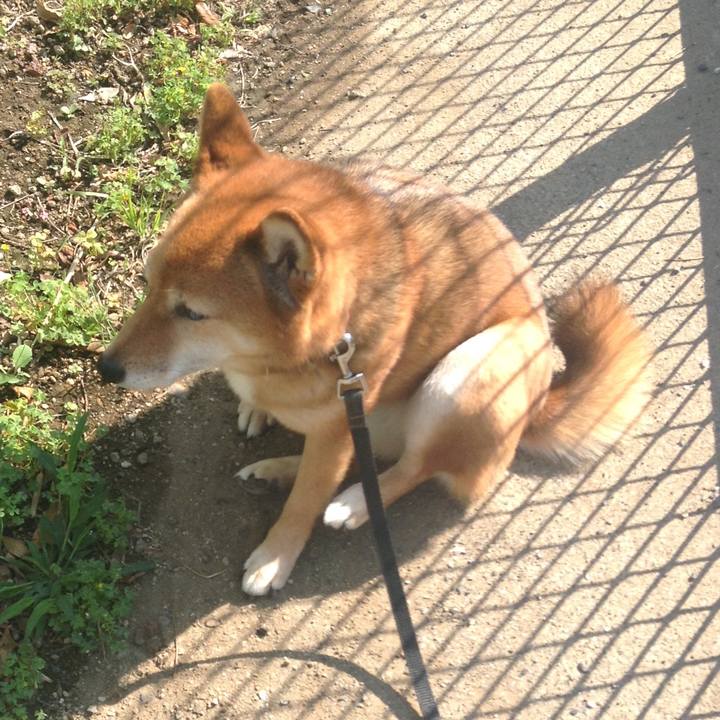 D15d896d 65a0 42ef 8287 d19ce9572de0