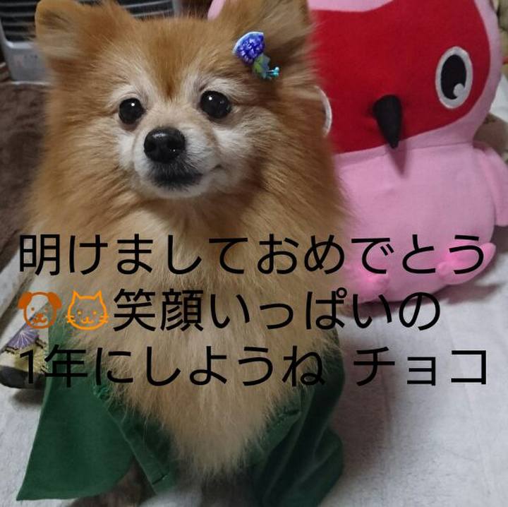 D15dd5bd b72e 4bcb b339 ca711fb9b1a3