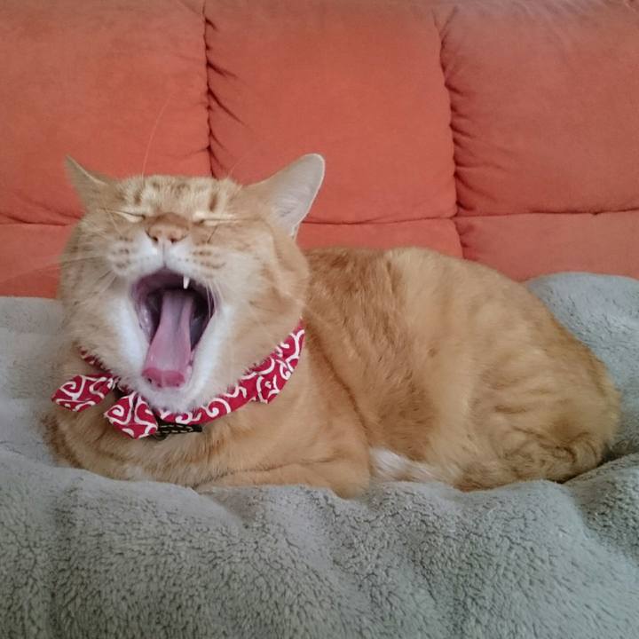 D15fa9ed 11d2 41dd a3a2 1d29797db271