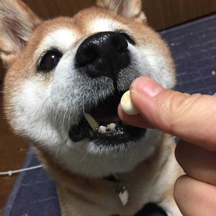 D16040e5 7824 4346 8557 547d01cd8c0d