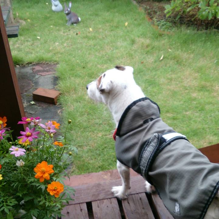 D1604d1a 712c 46be 9279 c2a352f40805