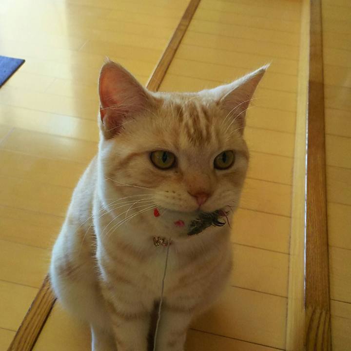 D160b9d0 6fb2 45ee bbbd e09d648af0be