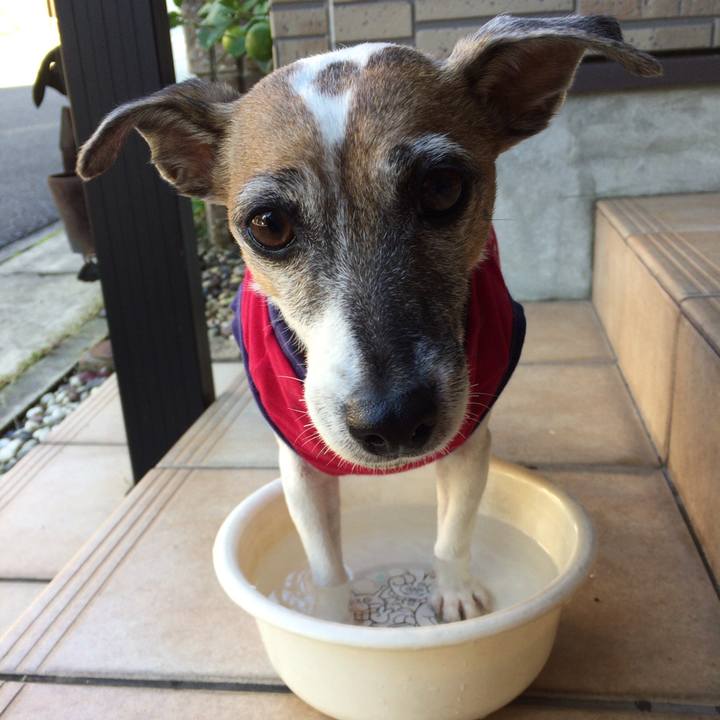 D160eb0a 7b34 41d0 a8ef 1f9b565af959