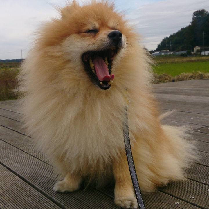 D161176b 1050 433a b3ce f02cc6882a37