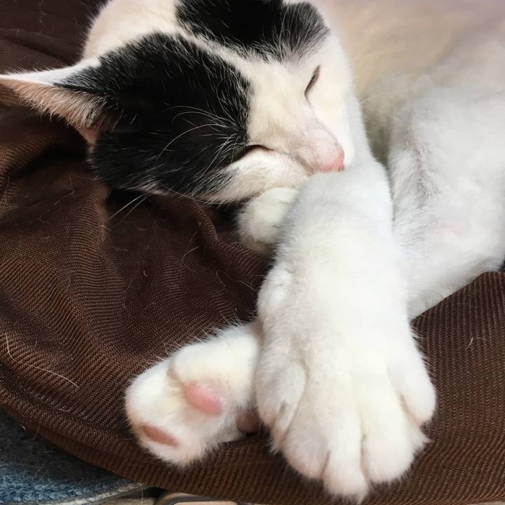 D16240e5 6221 46b4 8dfe 163ee898b5e2