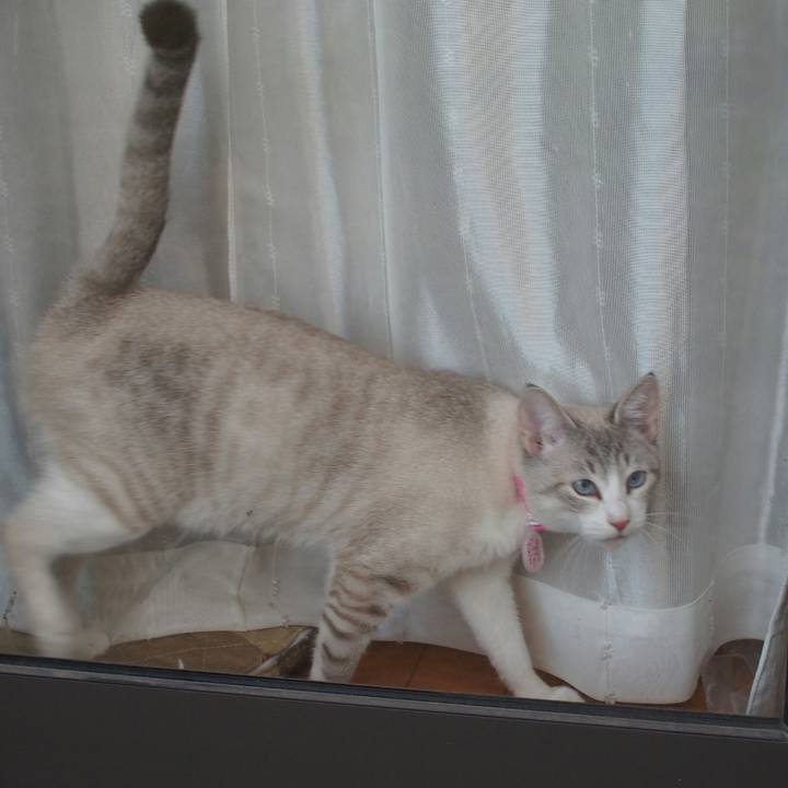 D1625ddd f399 4d8e b4e6 201771433f83