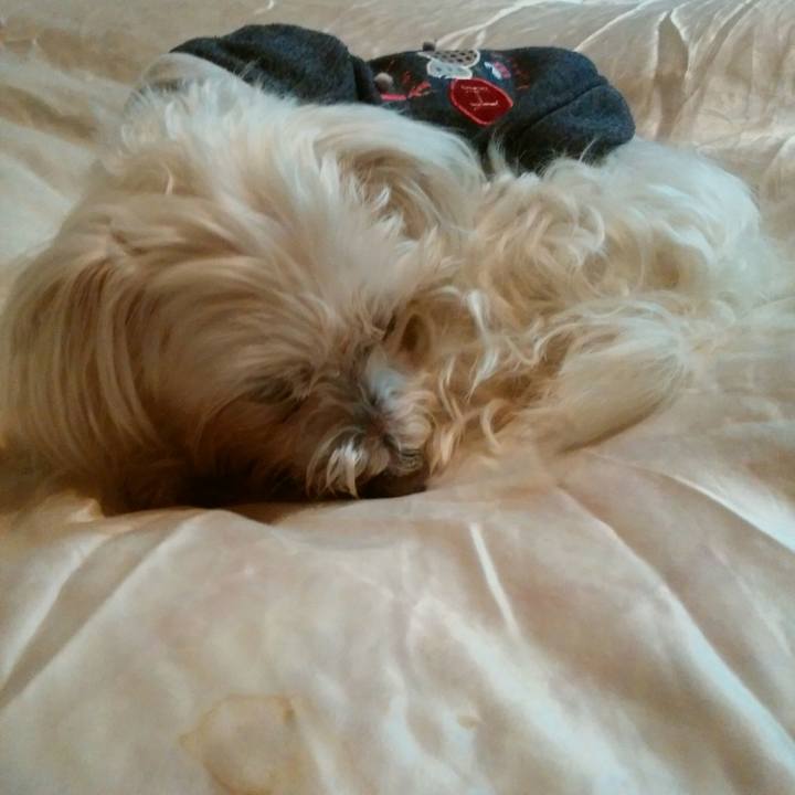 D1628e40 334d 4ed3 8496 04d2fff16ba7