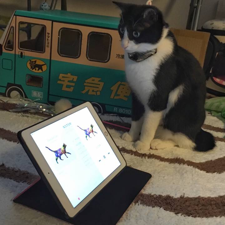 D162ba00 6579 4ac9 b008 23cd8cb4fefe