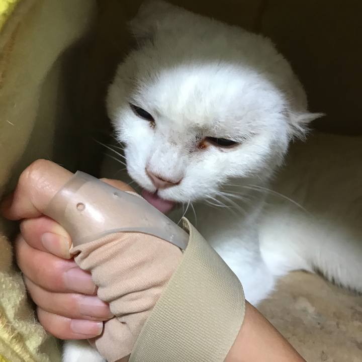 D163214a a190 4eee 853f 84f1488a5074