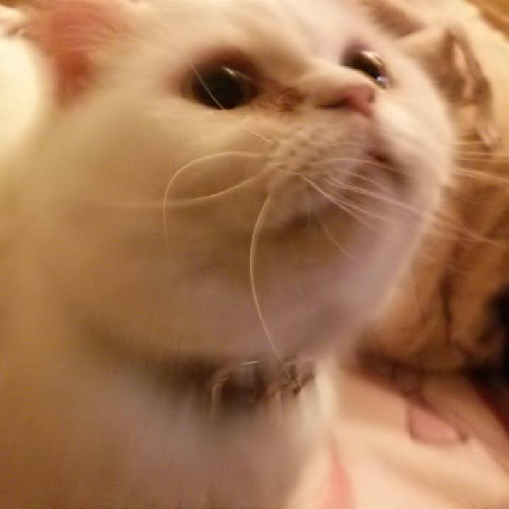 D1636f3f ed9c 4ec1 b577 c69c75a2fac6