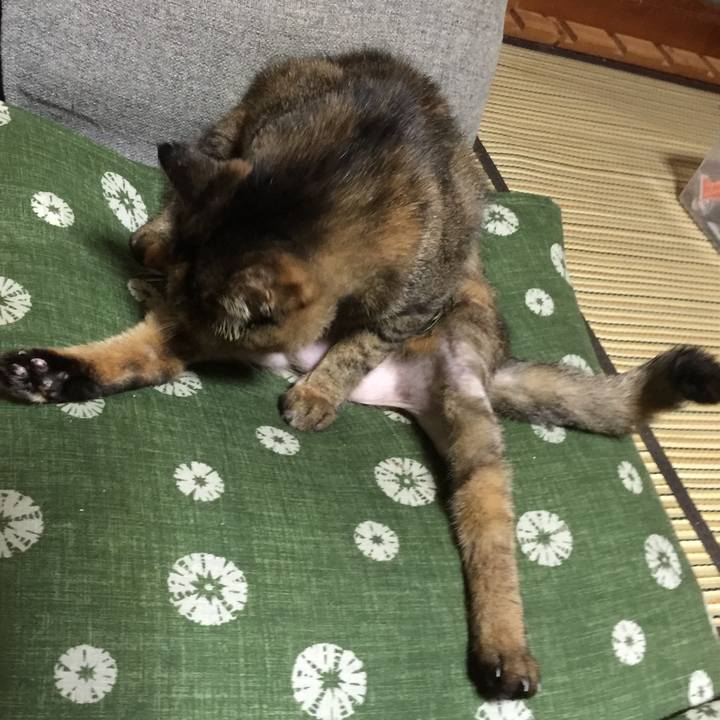 D1637697 57a2 4384 a682 66e1ed707f35