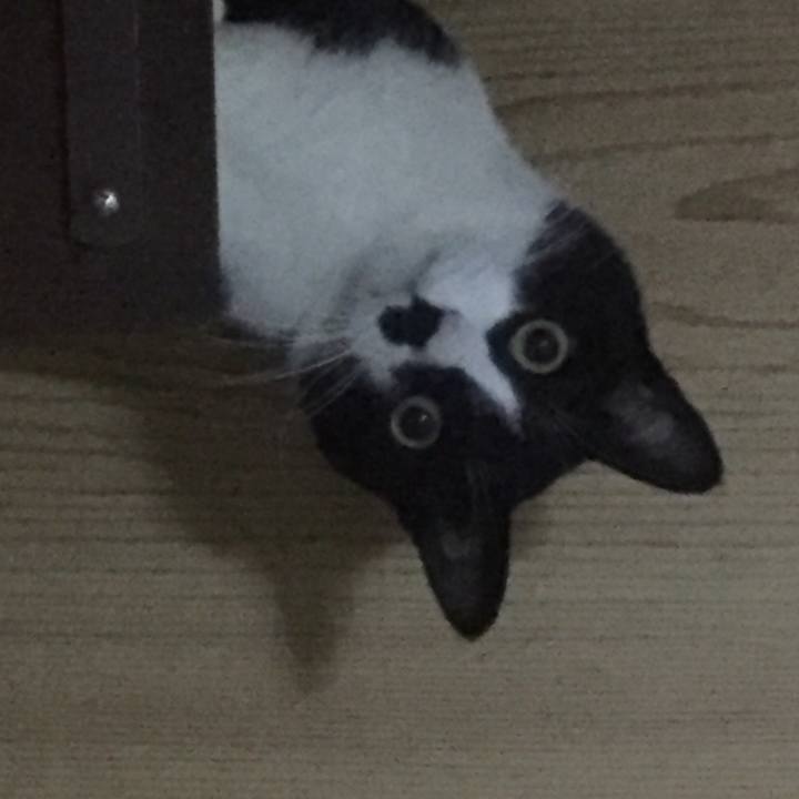 D163ae5e 2ab5 45b9 9ace 7ffa0297e632