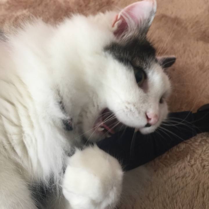 D163d8e4 58d3 4571 b00f e5c18c60707e