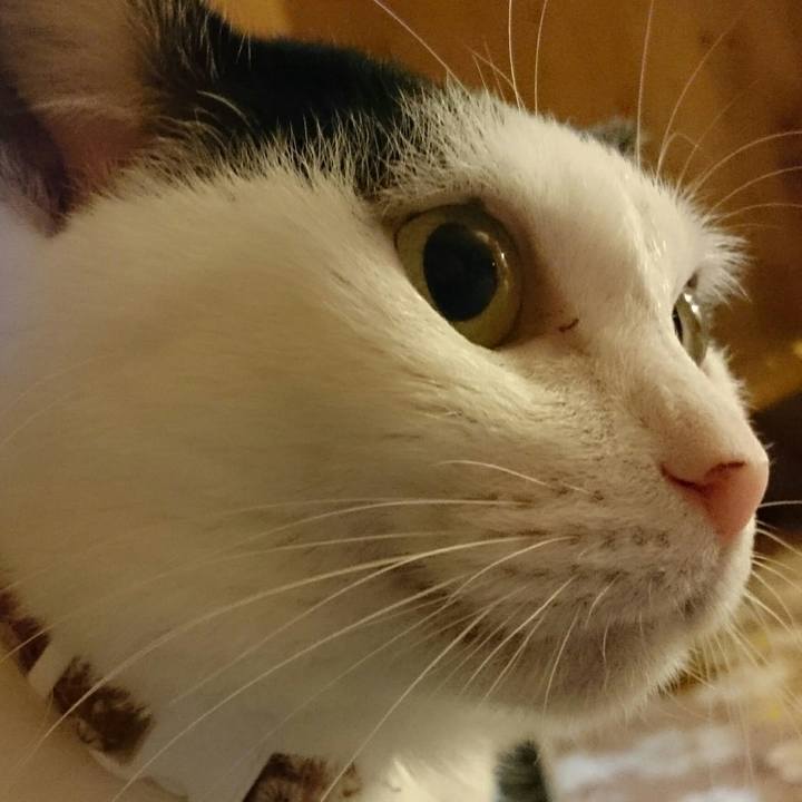 D1645c96 1ecc 494a 9113 8da308f142b5