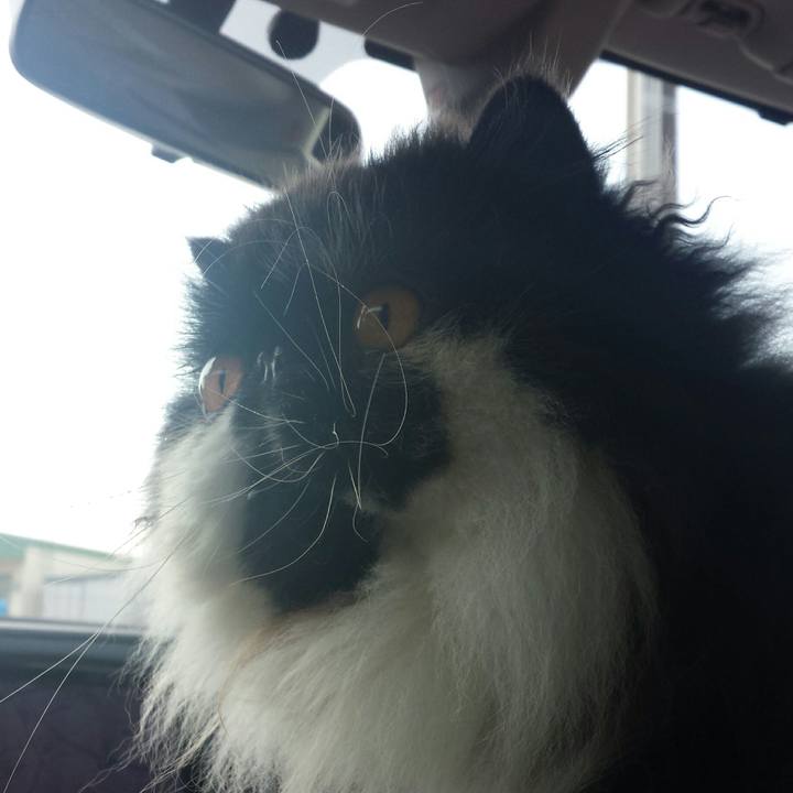 D165540c 995e 49c8 af40 51c79cce0b4a