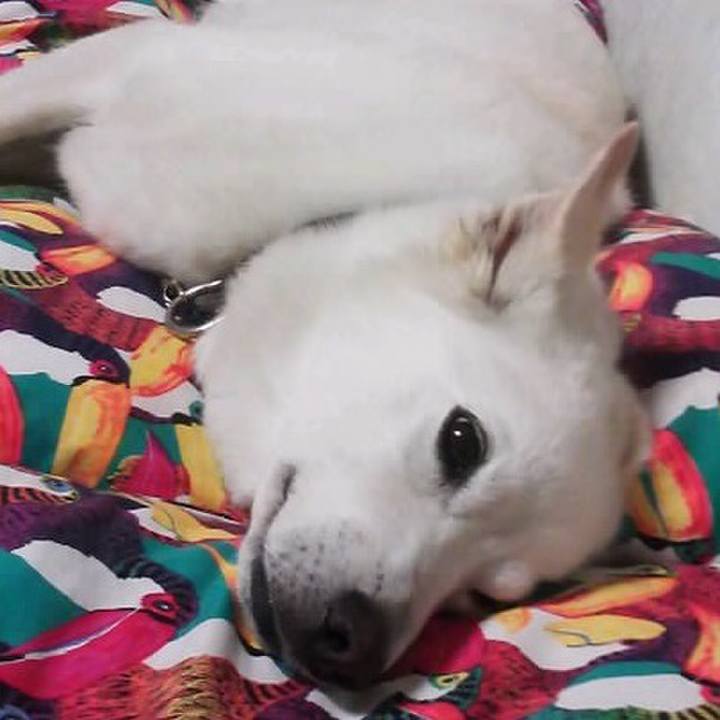 D165a234 e7a7 4792 bc6f 9c6c96cd04a1