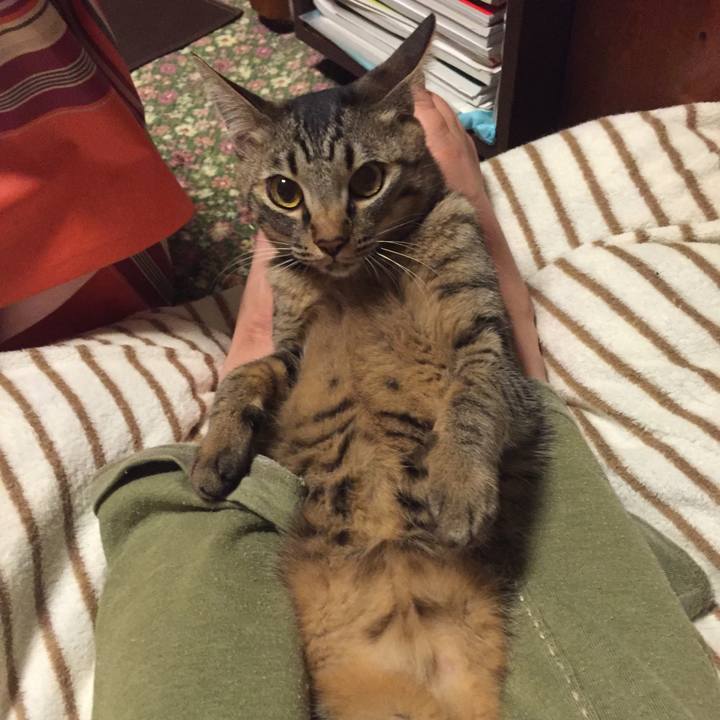 D1665ecb 76da 4c79 a1d8 336ddc25f7b0