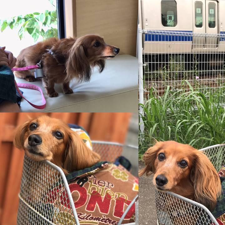 D1666764 c411 46bd 9612 472124fbe3a1