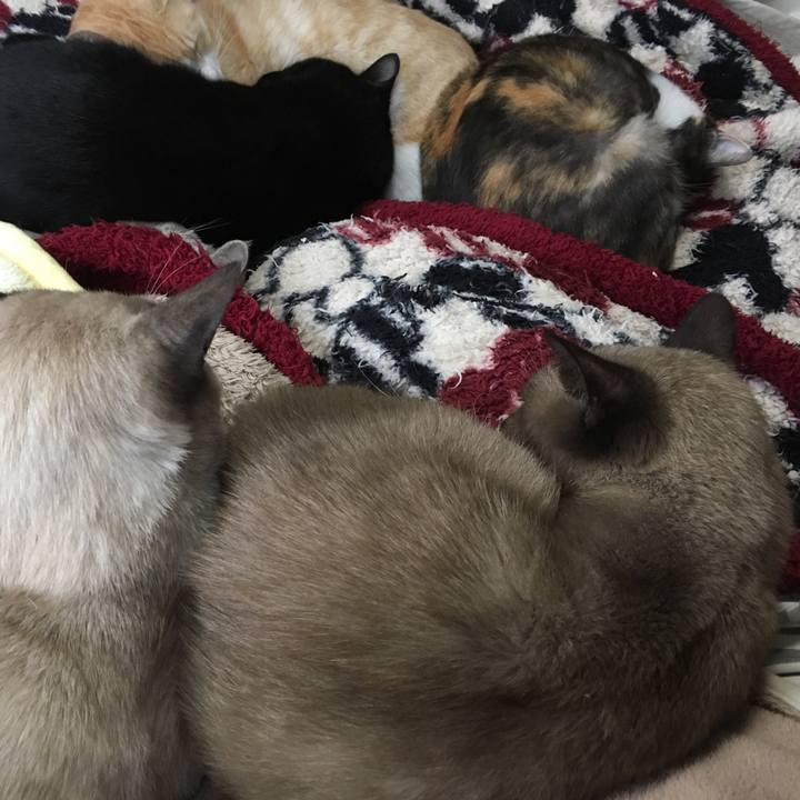 D1667262 fe18 4492 9f1d a92d462f92b6