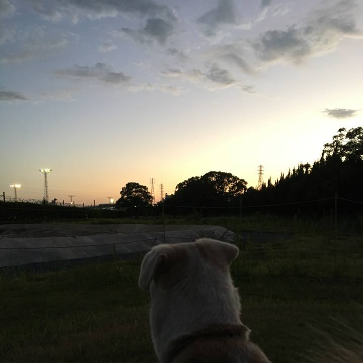 D167005f 0ced 4f38 baf1 d6b5f1ae7e41