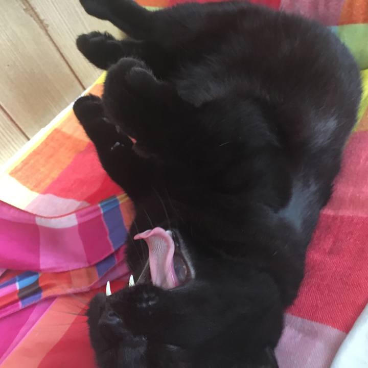 D1673cd6 4cdf 4c0e 9a48 a17ac1cc1120