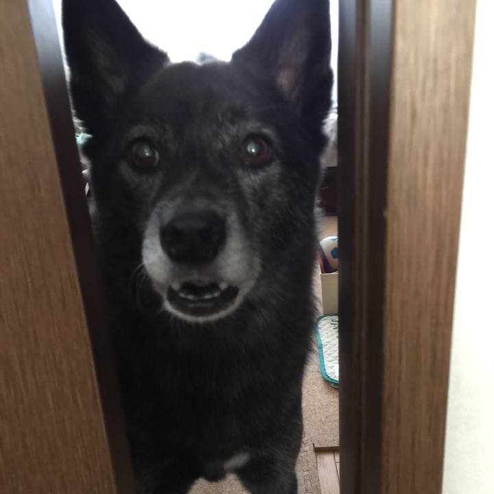 D1674d54 f7b8 44e1 a9c7 2add0a7e3118