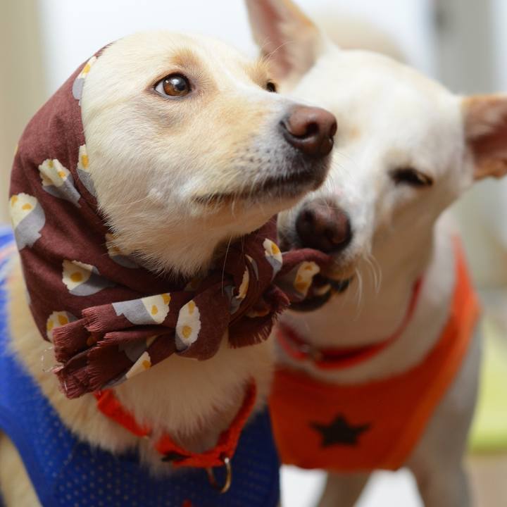 D167a9cd 492a 4764 8cfe 5b9521c799cf