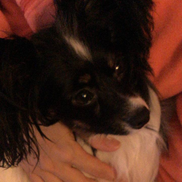 D167c73b 2d14 41a6 a485 f6d9e99c1109