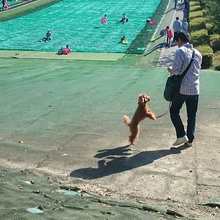 D1684625 2c6f 4409 aadb 9e93551fa587