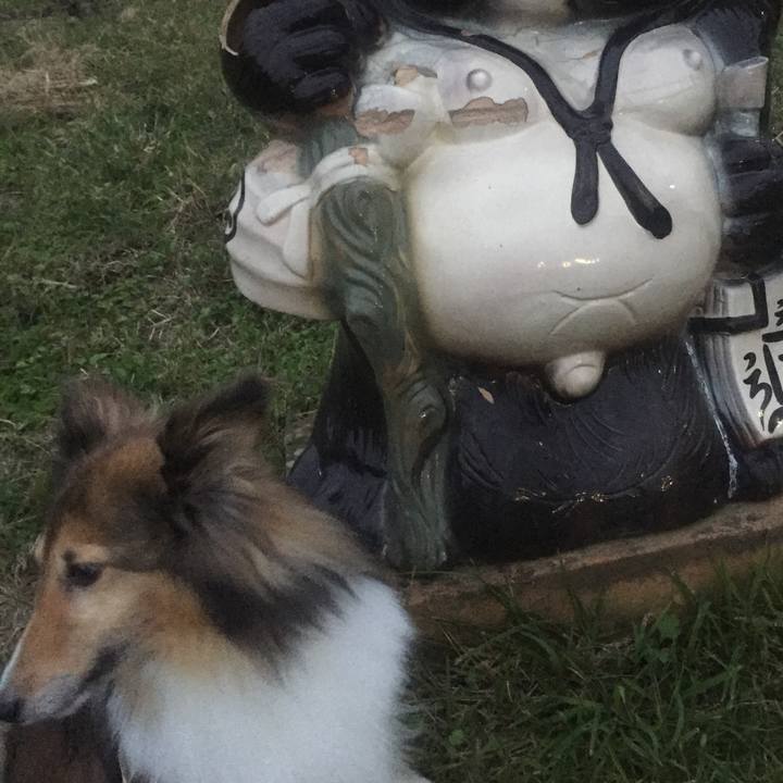 D1686f44 f813 4b27 a65b 12673e41d12c