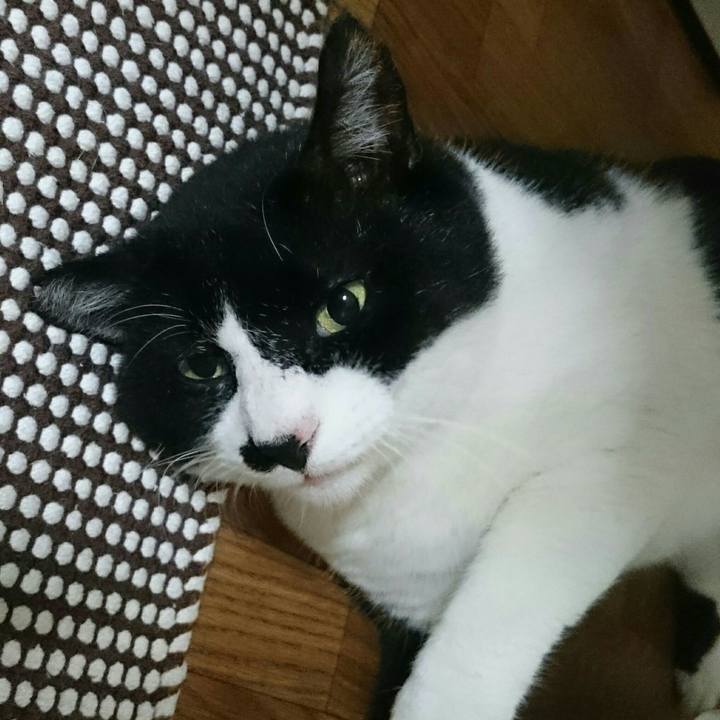 D168f241 d473 4060 a2c3 efab65a80fca