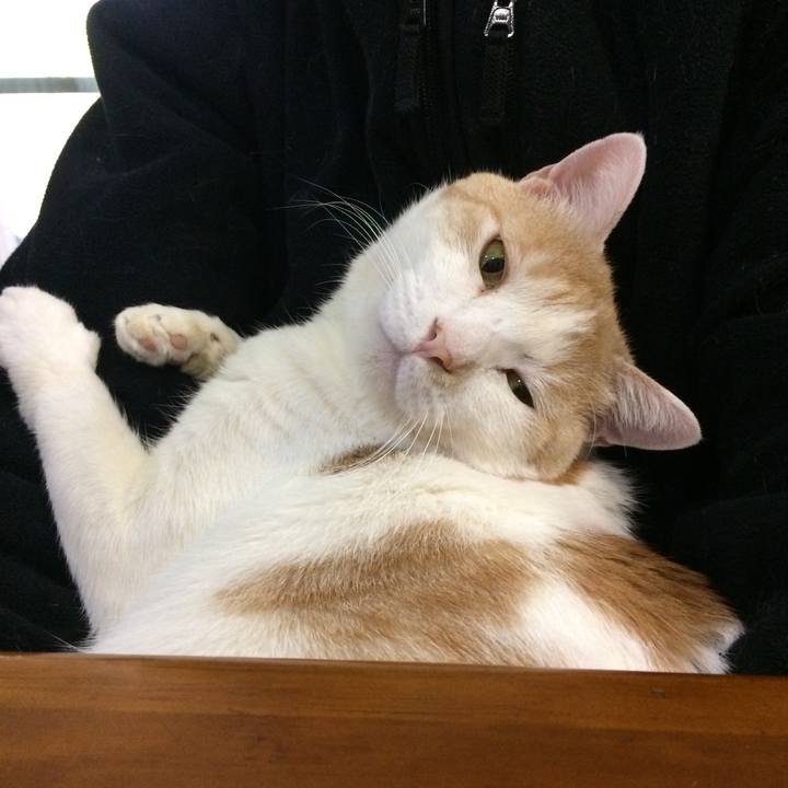 D1693c37 2864 4c31 bfde ec8d5fd4dcb7