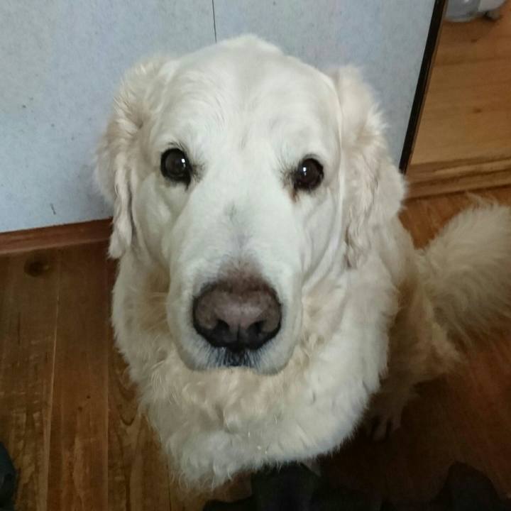 D169443c 0b79 4d48 8524 89d5fb8d523b