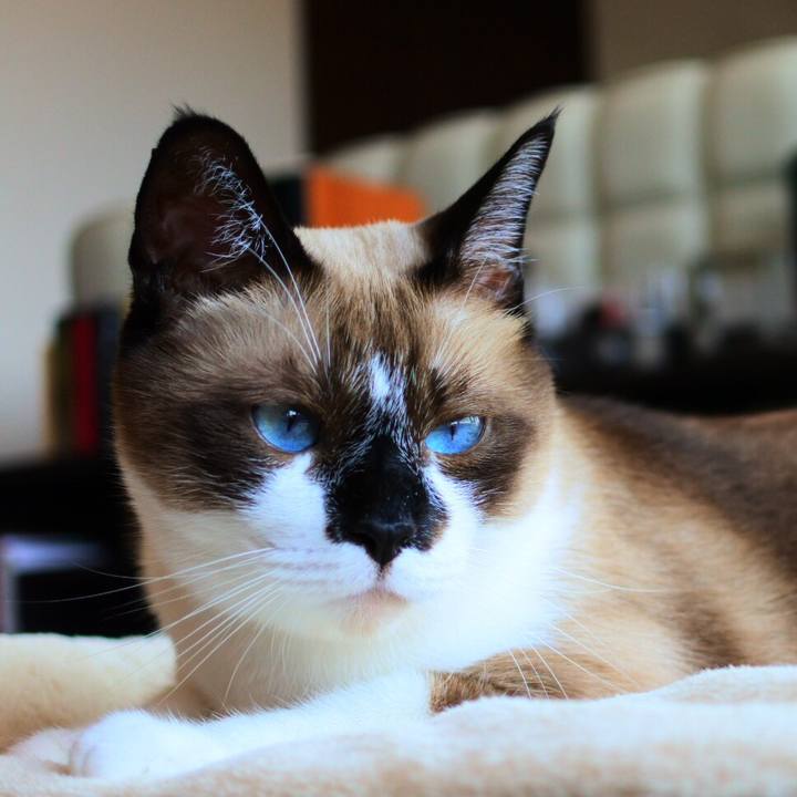 D169479f 12f3 4326 b22a e6516b797149