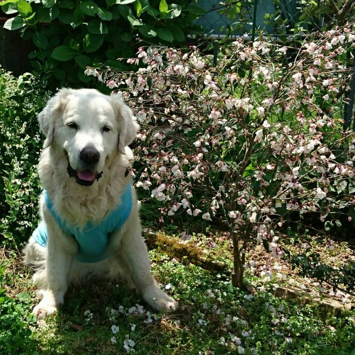 D16a4ffa efc7 43ae 9e47 325842acd023