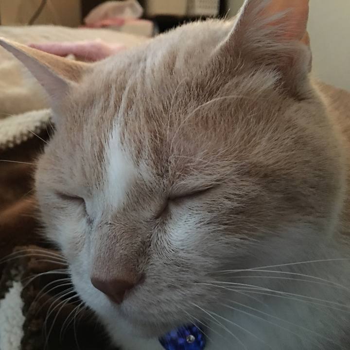 D16b5f90 15e9 4daf b79f c1763146ee0b