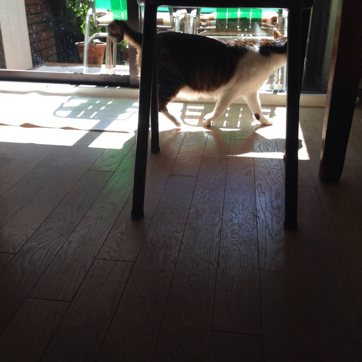 D16b86a3 e8b9 4d71 8130 a4d4add3fd0e