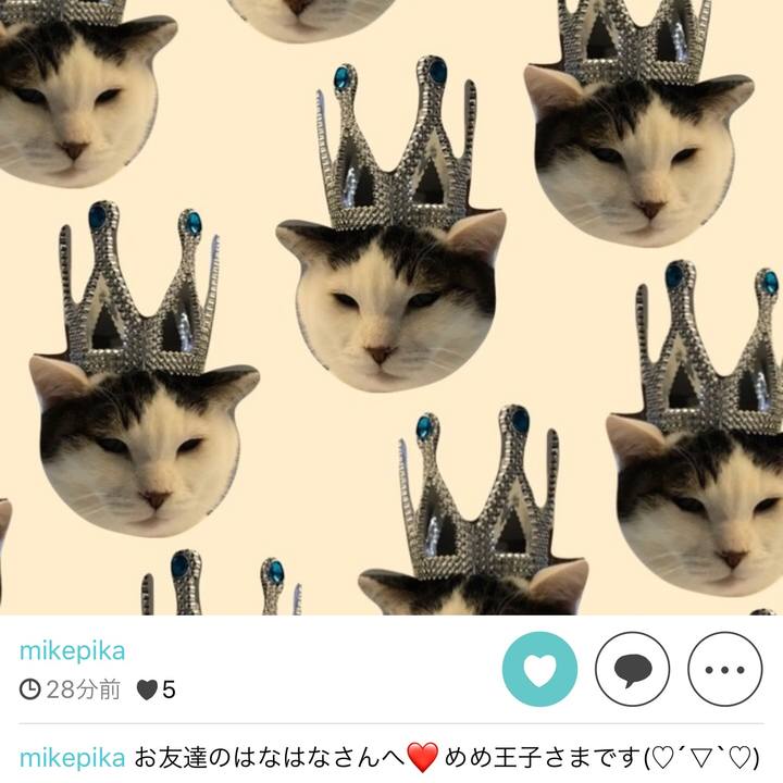 D16bc31b 5803 46a5 b15e d07991ed4bd0