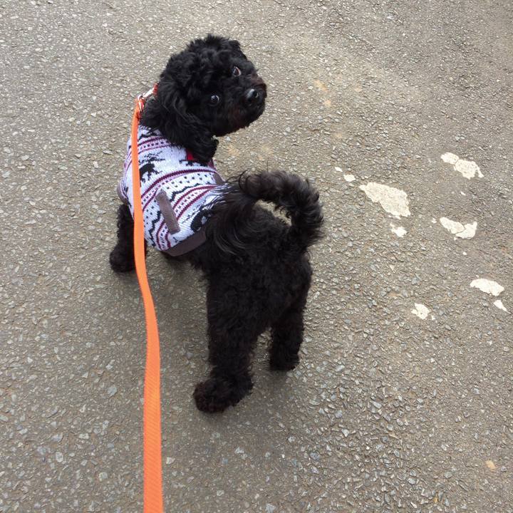 D16bd385 0426 4c5d 981a dd92513cbb6d