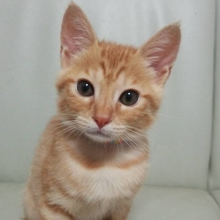 D16be8dd 5db9 46b1 a745 4a77a5f0c235