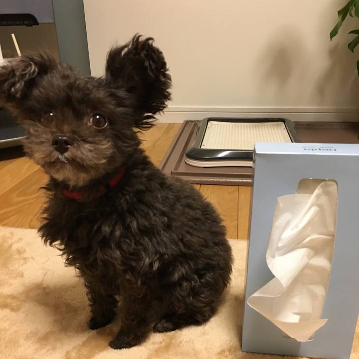 D16c4cfe 8e40 4ab0 be82 c6e7469dd602