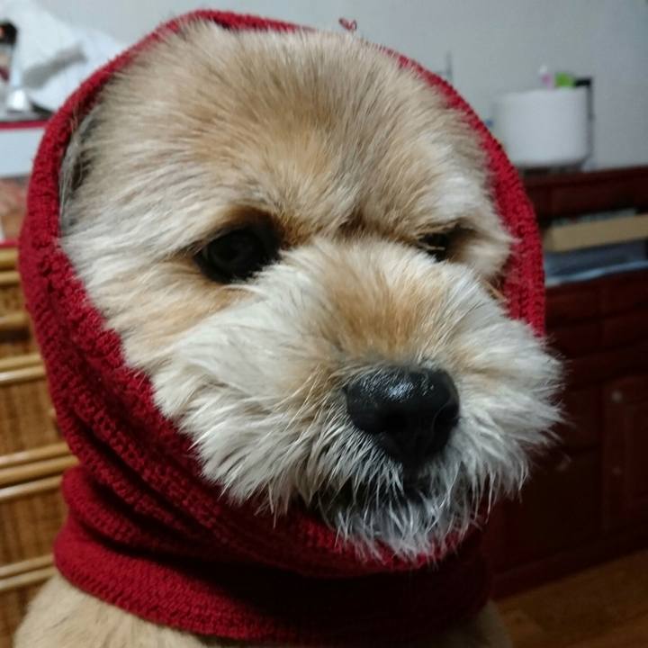 D16c9b9a 4a9c 4f5a bc18 f160889239c3