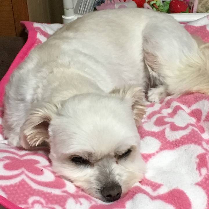 D16cd8bb 9d8b 4289 8bc5 ab7ecf2c062e