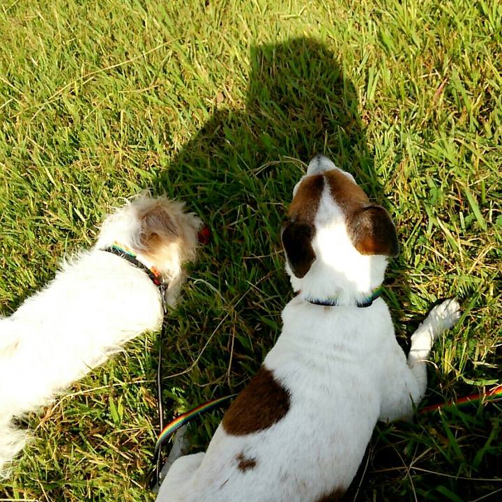 D16cdd3f 835e 4714 b308 086d7caeb21c