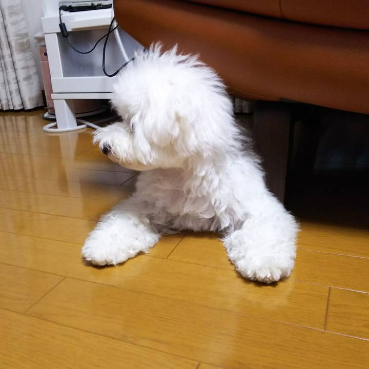 D16d3293 ef33 44e4 ab52 b98ae856d92c